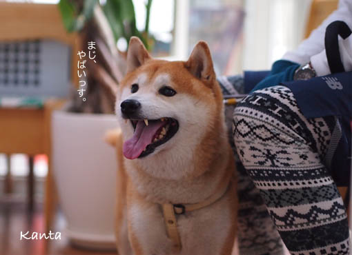 29日ブログ3.jpg