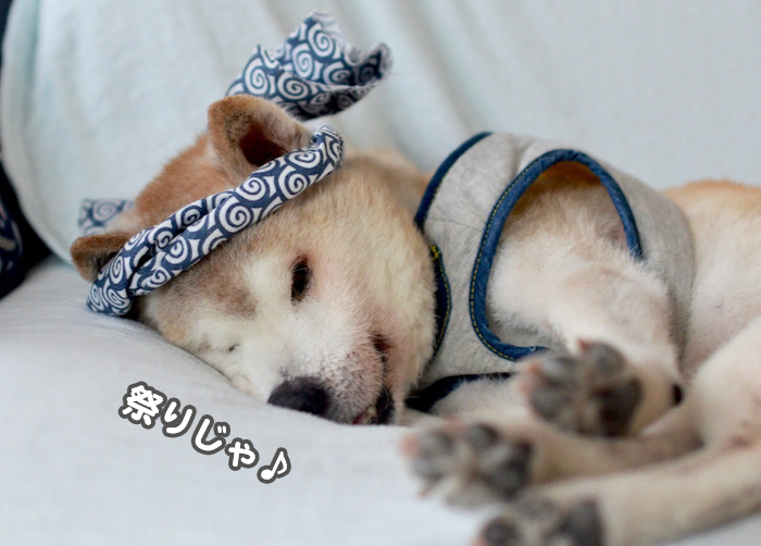 18日夕ブログ６
