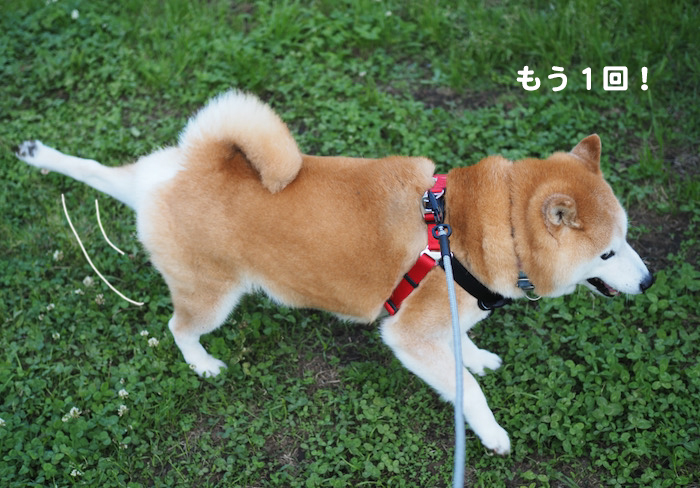 17日夜ブログ４