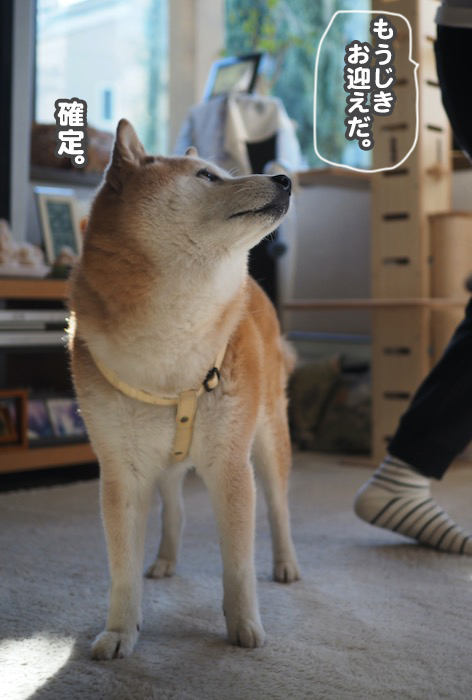 26日ブログ８