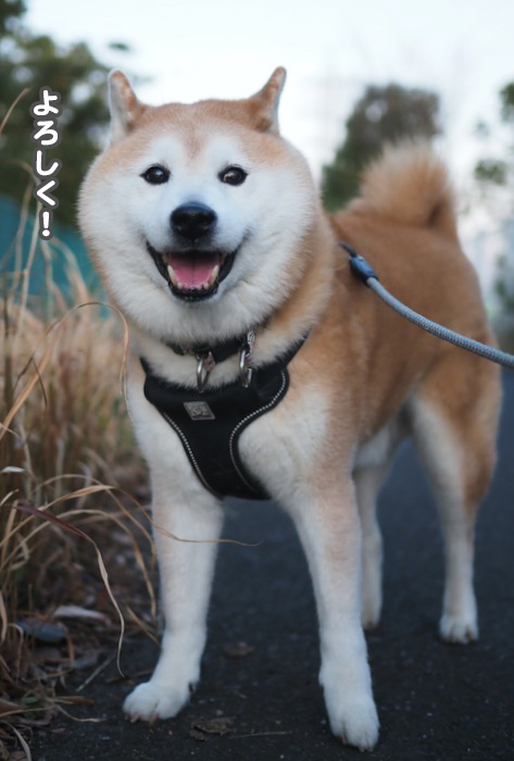 1日夕ブログ６