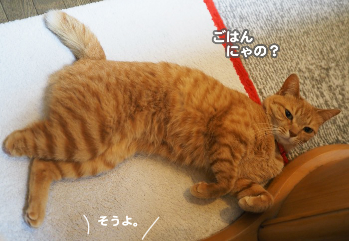 29日夕ブログ２