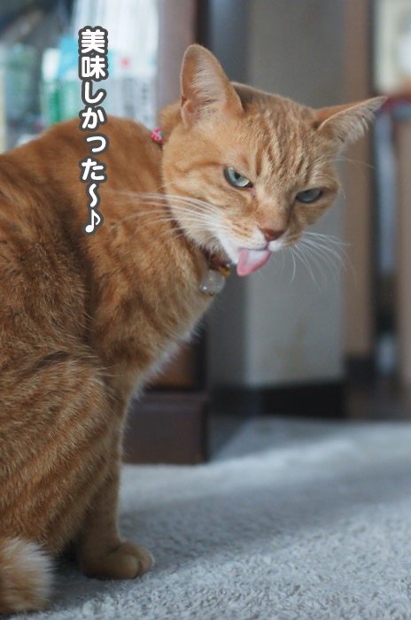 26日夕ブログ１３