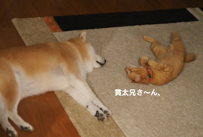 13日夕ブログ２