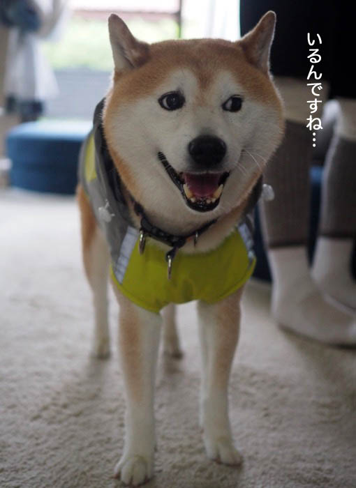 5日夕ブログ５