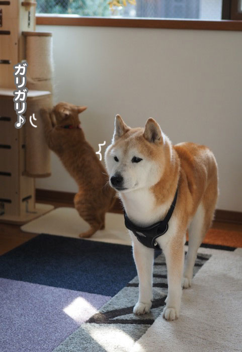 8日夕ブログ２