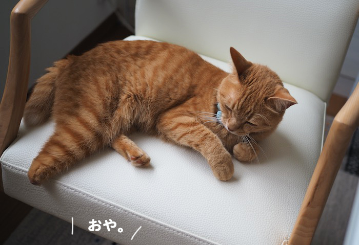 30日夕ブログ４