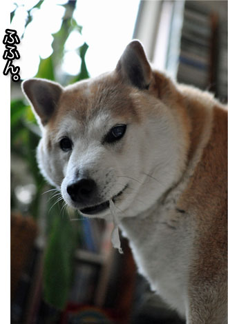 19日ブログ３.jpg