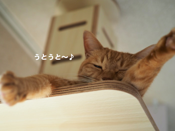 8日ブログ２
