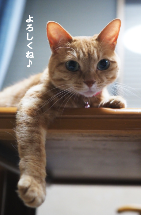26日ブログ６
