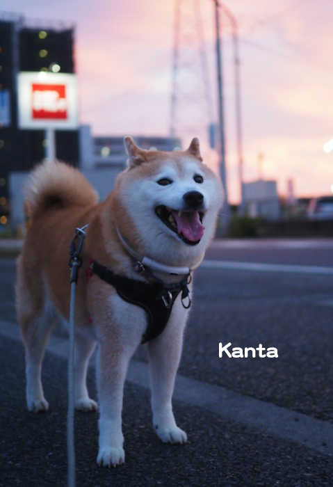 20日ブログ５
