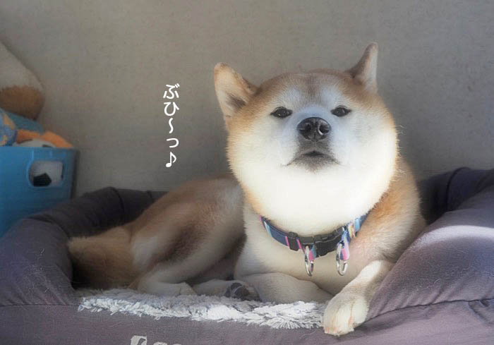 13日夜ブログ１