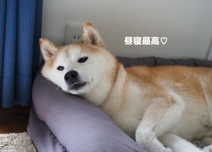 8日夕ブログ４