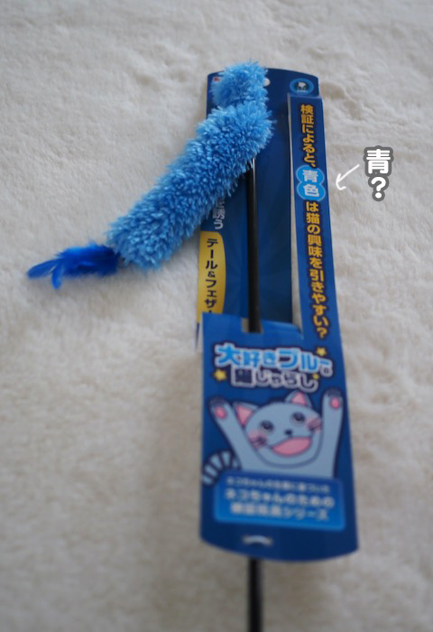 11日夕ブログ２