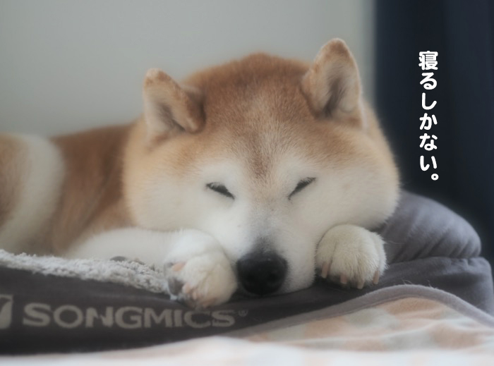 19日午前ブログ３