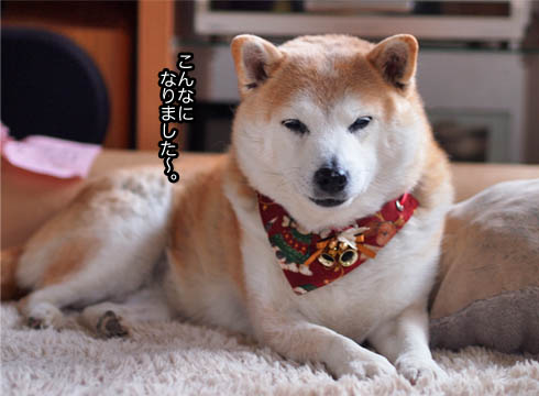 18日ブログ10.jpg