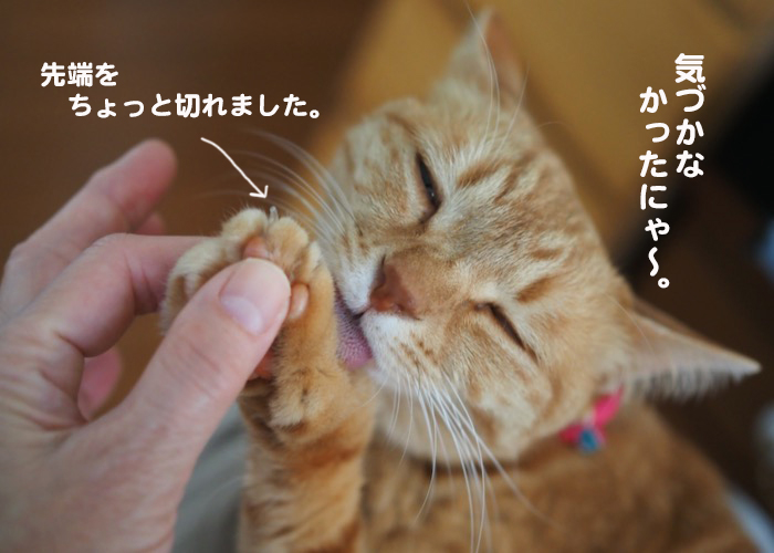 25日夜ブログ７