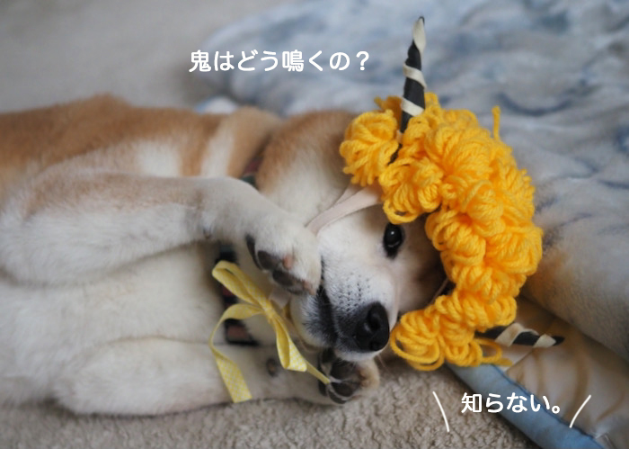 3日ブログ５