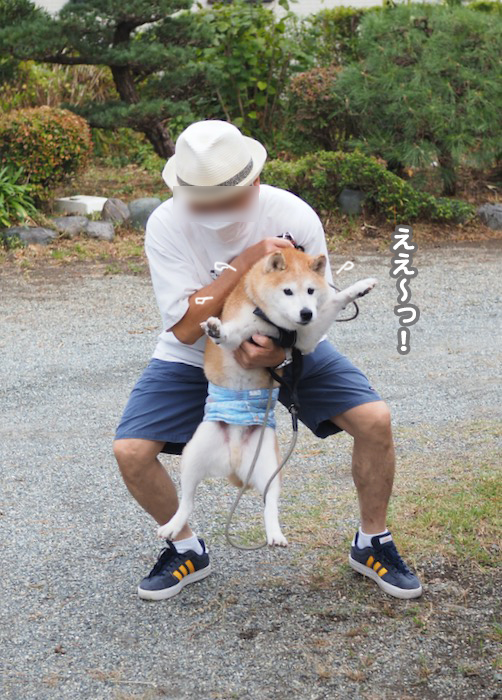 18日夕ブログ２