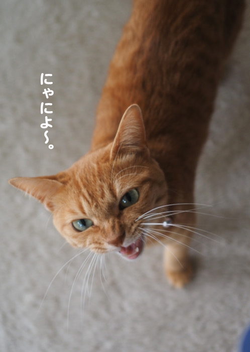 28日ブログ５