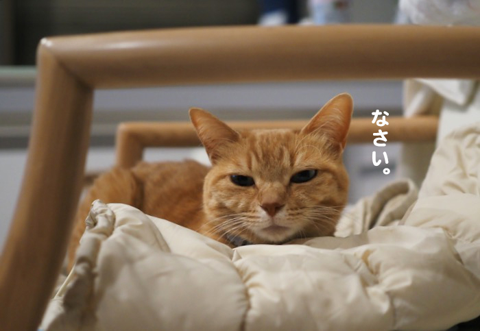 12日午前ブログ３