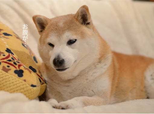 28日ブログ3.jpg