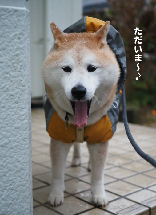 4日夕ブログ５