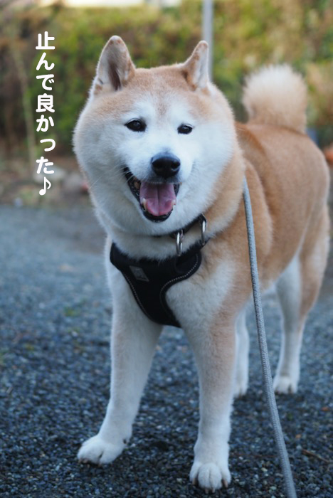 23日夕ブログ４