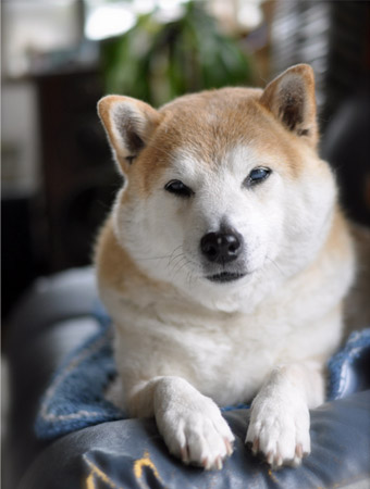 11日ブログ3.jpg