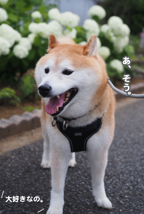 13日ブログ３