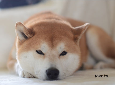 29日ブログ3.jpg