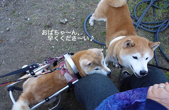 11日ブログ３