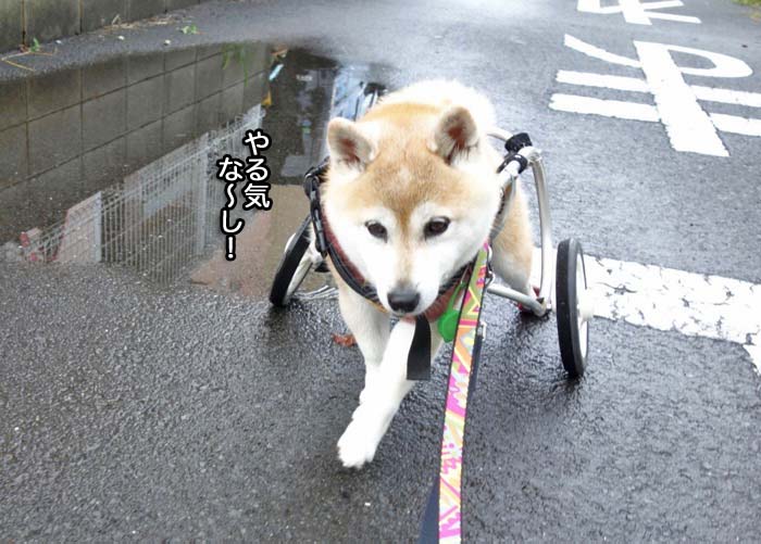 12日ブログ５