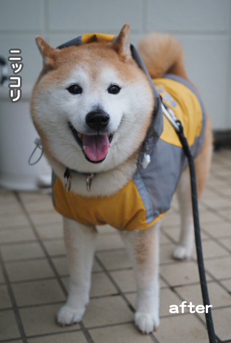 16日夕ブログ４