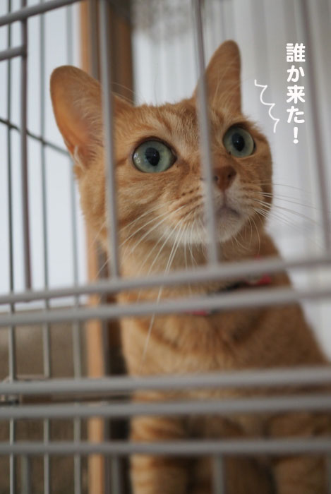 11日夕ブログ４