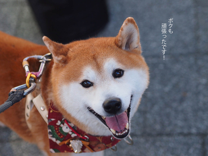 23日ブログ13