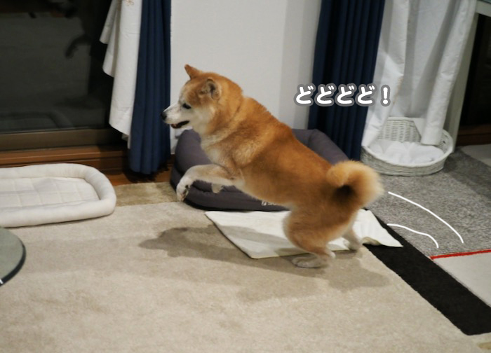 ９日ブログ３