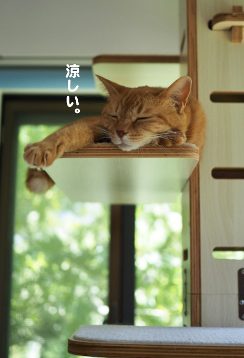 20日夕ブログ２