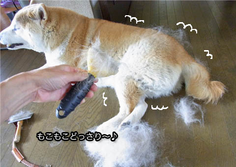 24日ブログ7.jpg