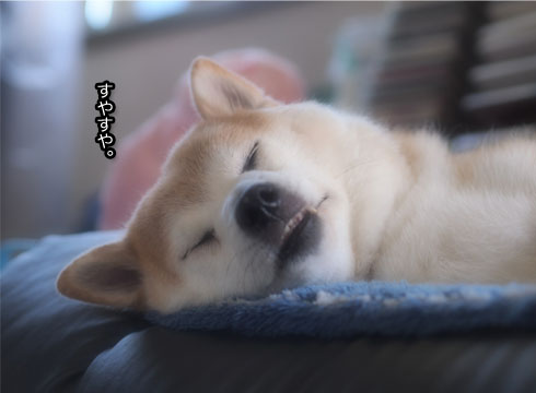 29日ブログ12.jpg