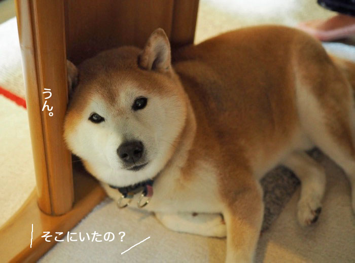 28日ブログ１