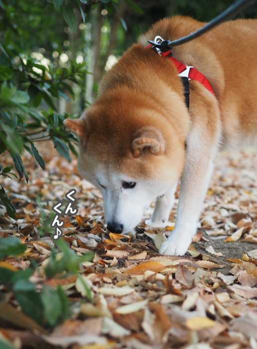 19日午前ブログ２