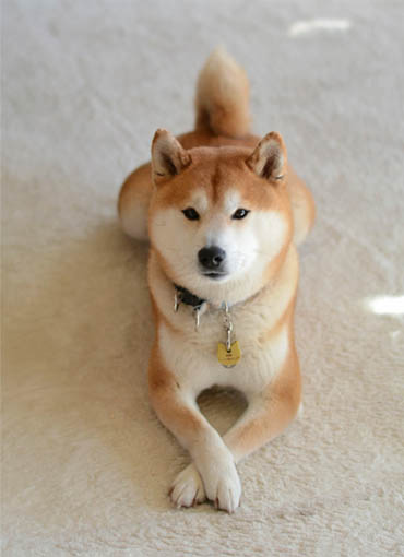 18日ブログ2.jpg