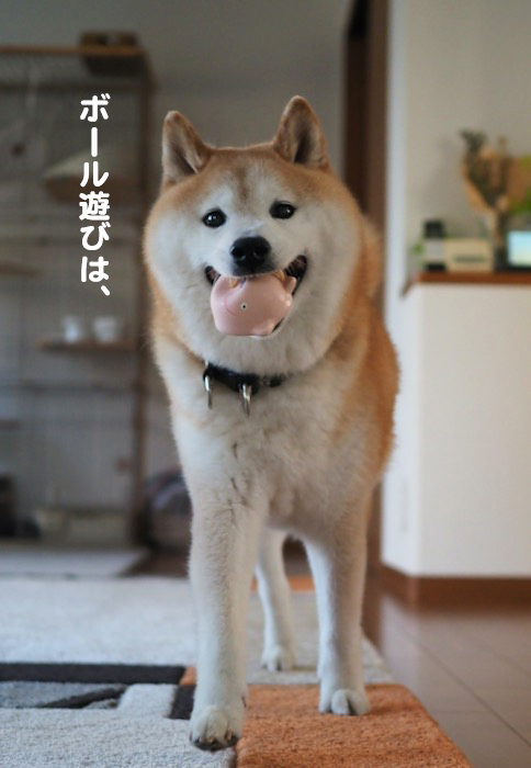 24日夕ブログ６