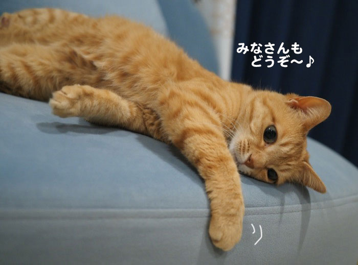 19日夜ブログ４