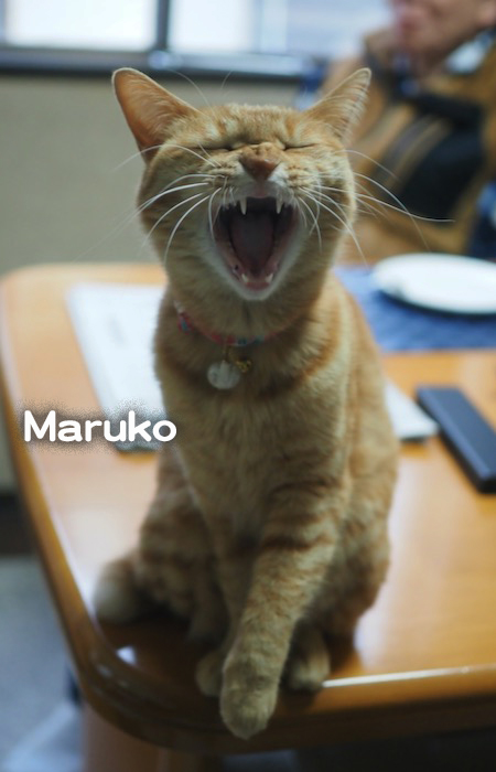 4日ブログ２