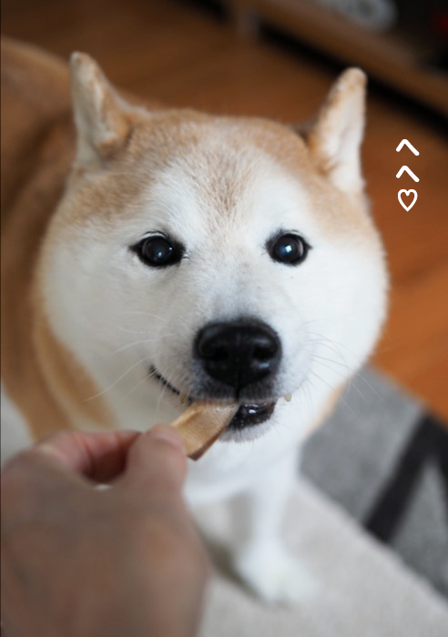 8日夕ブログ１４