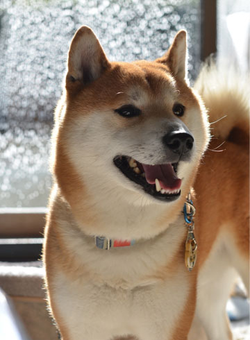 28日ブログ7.jpg