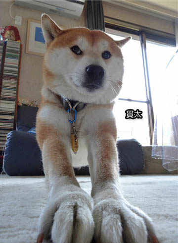 27日ブログ3.jpg