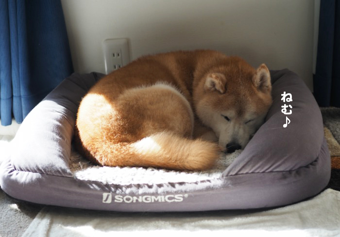 2日夕ブログ１３